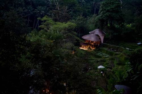 Exterior view of the Copper House surrounded by jungle