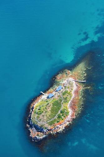Aerial view of Picnic island